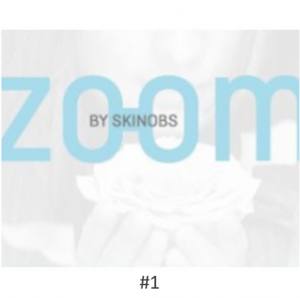 ZOOM#1- 2016- Testing trends and Partners Infomations by Skinobs Database