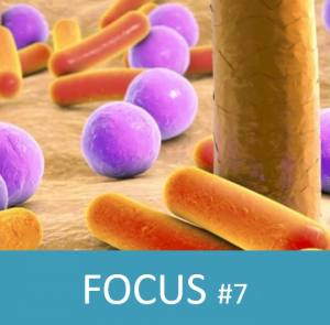 FOCUS#7 - Microbiote cutané et fondement des allégations